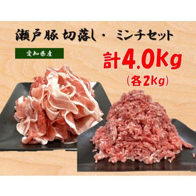 ふるさと納税 瀬戸市 瀬戸豚2種セットA(ミンチ+カタバラ切落し)各2kg 計4kg