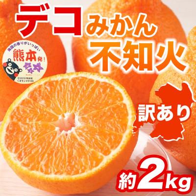 ふるさと納税 益城町 不知火 デコみかん 訳あり 約2kg(益城町)
