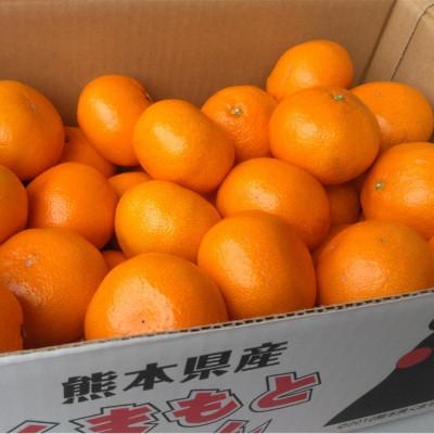 ふるさと納税 玉名市 みかん 約5kg(サイズ2L-2S)(玉名市)