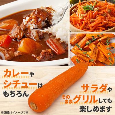 ふるさと納税 斜里町 【産地直送】北海道斜里町　知床にんじん 10kg(Lサイズ)　甘さが特長!野菜ジュースに。 |  | 01