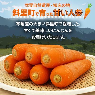 ふるさと納税 斜里町 【産地直送】北海道斜里町　知床にんじん 10kg(Lサイズ)　甘さが特長!野菜ジュースに。 |  | 02