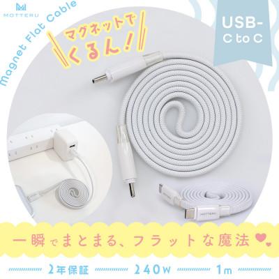 ふるさと納税 海老名市 マグネットフラットケーブル PD240W対応 エアリーホワイト (MOT-MGFCC100-WH)