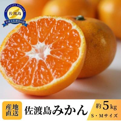 ふるさと納税 佐渡市 [数量限定][2026年11月中旬以降順次発送]佐渡島産みかん(ゆら早生) S・Mサイズ 約5kg