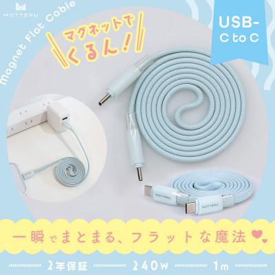 ふるさと納税 海老名市 マグネットフラットケーブル PD240W対応 パウダーブルー (MOT-MGFCC100-BL)