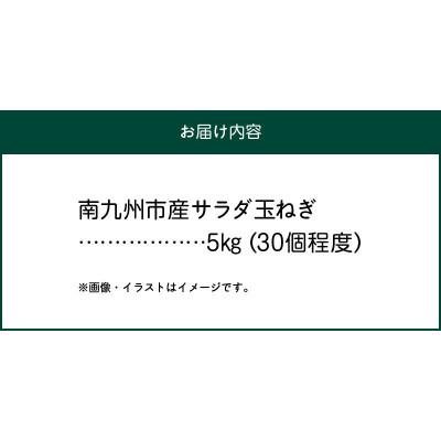 ふるさと納税 南九州市 春を告げるサラダ玉ねぎ5kgの画像