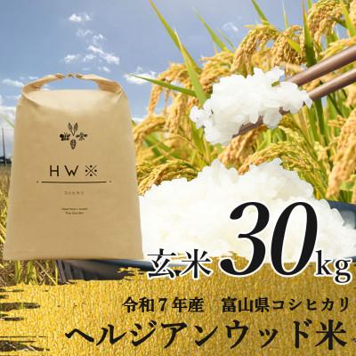 ふるさと納税 立山町 [令和7年産]玄米 ヘルジアンウッド米 30kg 富山県産コシヒカリ