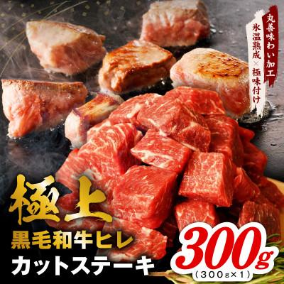 ふるさと納税 泉佐野市 極上黒毛和牛ヒレ カットステーキ 合計 300g 氷温熟成×極味付け 牛肉 和牛