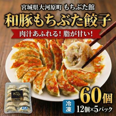 ふるさと納税 大河原町 和豚もちぶた 餃子 60個 (12個×5P)