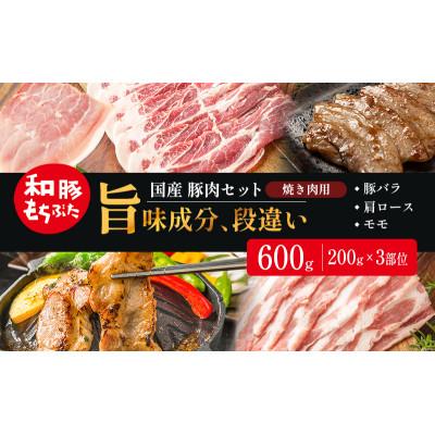 ふるさと納税 大河原町 和豚もちぶた お試しセット 焼肉用 600g(200g×3部位)