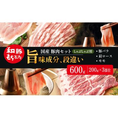 ふるさと納税 大河原町 和豚もちぶた お試しセット しゃぶしゃぶ用 600g(200g×3部位)
