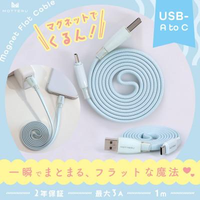 ふるさと納税 海老名市 マグネットフラットケーブル 磁力でまとまる パウダーブルー (MOT-MGFAC100-BL)