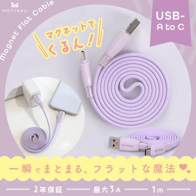 ふるさと納税 海老名市 マグネットフラットケーブル 磁力でまとまる ペールアイリス (MOT-MGFAC100-PU)