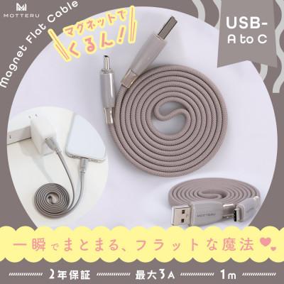 ふるさと納税 海老名市 マグネットフラットケーブル 磁力でまとまる ラテグレージュ (MOT-MGFAC100-GY)