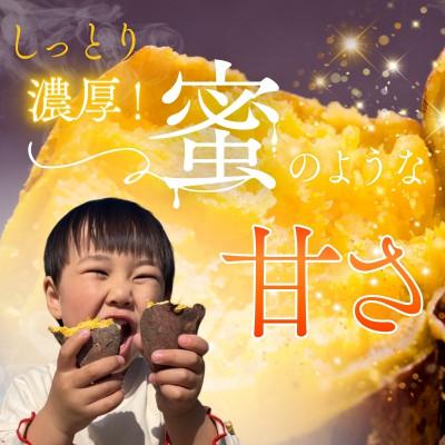 ふるさと納税 河内長野市 <2026年11月発送分 先行予約受付中!!>紅はるか 生芋 10kg 熟成 数量限定の画像
