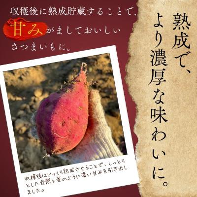 ふるさと納税 河内長野市 <2026年11月発送分 先行予約受付中!!>紅はるか 生芋 10kg 熟成 数量限定の画像