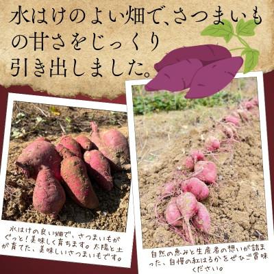 ふるさと納税 河内長野市 <2026年11月発送分 先行予約受付中!!>紅はるか 生芋 10kg 熟成 数量限定の画像