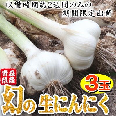 ふるさと納税 十和田市 青森県産 厳選 幻の生にんにく 3玉 収穫後2週間のみ限定出荷! サイズ混合(M〜2Lサイズ)