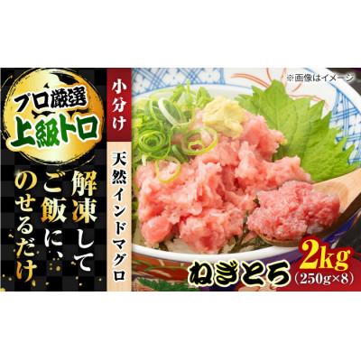 ふるさと納税 横須賀市 生まれながら バーラットまぐろ たたき 約2kg(250g×8風呂敷き包み) 小分け 凝結