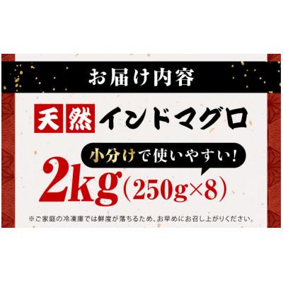 ふるさと納税 横須賀市 生まれながら バーラットまぐろ たたき 約2kg(250g×8風呂敷き包み) 小分け 凝結