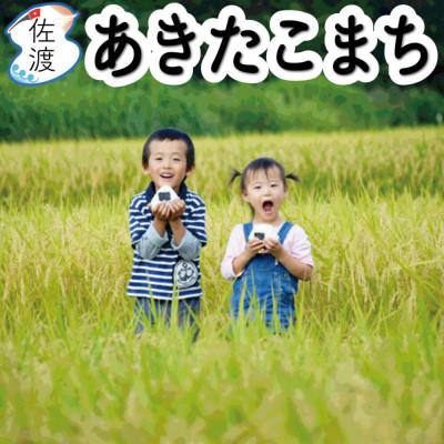ふるさと納税 佐渡市 佐渡島産あきたこまち 無洗米5kg(5kg×1袋)令和7年産[食の宝島佐渡]
