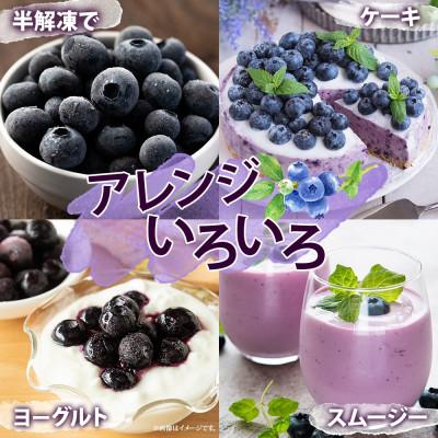 ふるさと納税 洞爺湖町 北海道 訳あり ブルーベリー 400g×2袋 |  | 01