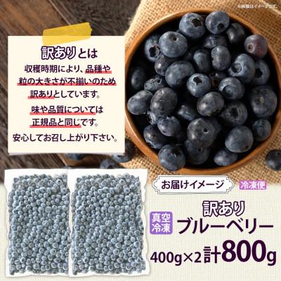 ふるさと納税 洞爺湖町 北海道 訳あり ブルーベリー 400g×2袋 : Yahoo