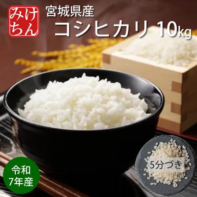ふるさと納税 村田町 令和7年産 宮城県産コシヒカリ 5分づき精米 10kg
