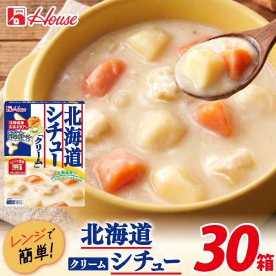 ふるさと納税 江南市 ハウス レトルト北海道シチュークリーム 180g ×30個 レトルト食品 レンジ調理対応