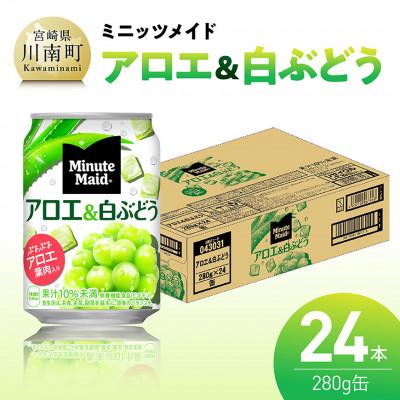 ふるさと納税 川南町 ミニッツメイドアロエ&amp;白ぶどう 280g缶24本