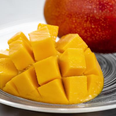 ふるさと納税 今帰仁村 [2026年7月から順次発送・贈答用]仲宗根果実園のアーウィンマンゴー1kg(2〜3玉)