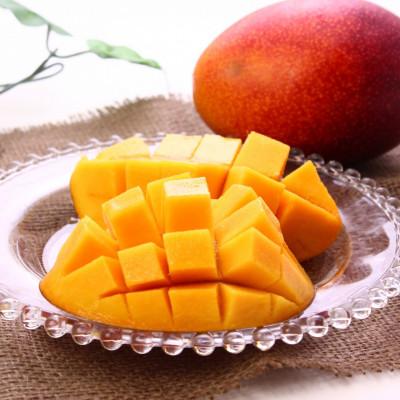 ふるさと納税 今帰仁村 [2026年7月から順次発送・贈答用]富平農園のアーウィンマンゴー1kg(2〜3玉)