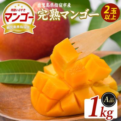 ふるさと納税 指宿市 [2026年5月下旬頃より順次発送]鹿児島県指宿産 完熟マンゴー 約1kg (IB163-001)