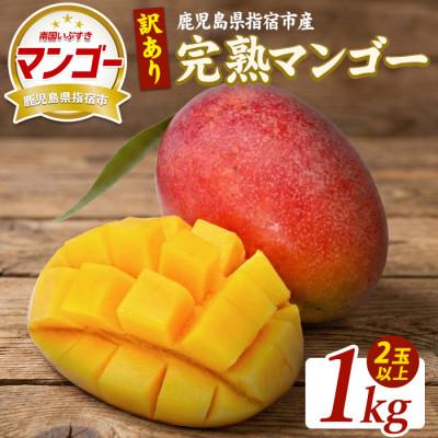 ふるさと納税 指宿市 [2026年5月下旬頃より順次発送]訳あり 鹿児島県指宿産 完熟マンゴー約1kg IB163-003