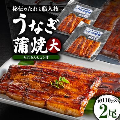 ふるさと納税 銚子市 うなぎ蒲焼真空パック 大 2尾入 計220gたれさんしょう付