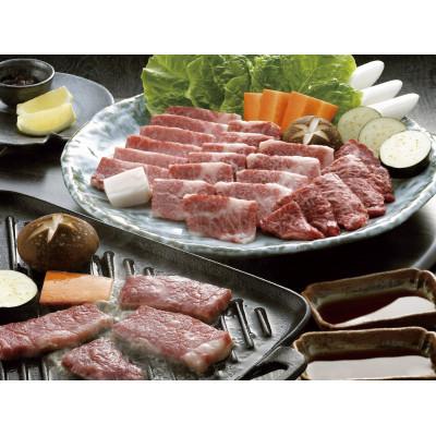 ふるさと納税 湯前町 GI くまもとあか牛 特選焼肉 500g(湯前町)