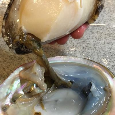 ふるさと納税 八幡浜市 八幡浜発!赤アワビ300g前後!【D22-293】 |  | 03