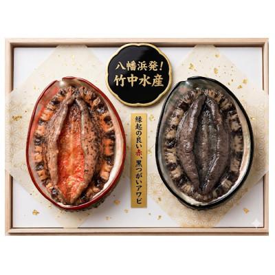 ふるさと納税 八幡浜市 (赤、黒)縁起の良い番いアワビ[F22-292]
