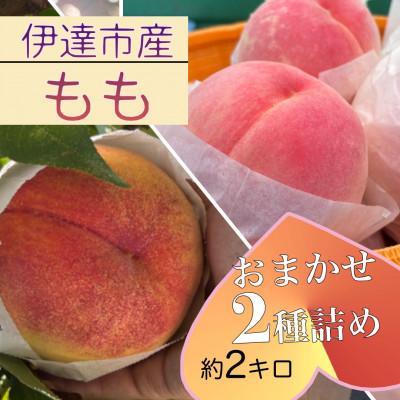 ふるさと納税 伊達市 福島県伊達市産 桃 2種詰め 計約2kg 9〜5玉