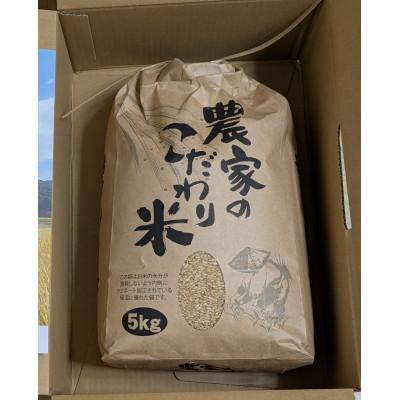 ふるさと納税 上郡町 高田米『きぬむすめ』玄米5kg