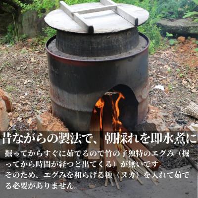 ふるさと納税 河内長野市 【2026年5月以降順次発送】国産 たけのこ 水煮 900g 朝採れを即加工 長期保存 真空パックの画像