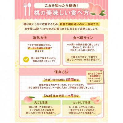 ふるさと納税 中央市 【人気の規格】山梨県産の桃約2kg(5〜6玉)品種おまかせの画像