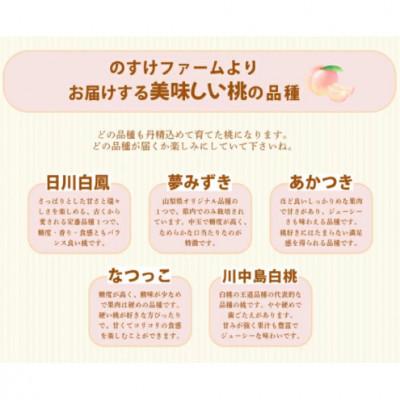 ふるさと納税 中央市 【人気の規格】山梨県産の桃約2kg(5〜6玉)品種おまかせの画像