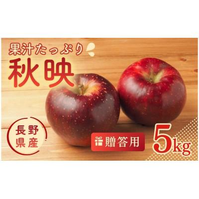ふるさと納税 上田市 りんご 秋映(あきばえ) 5kg 贈答用 信州
