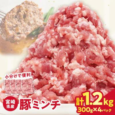 ふるさと納税 都農町 宮崎県産 豚ミンチ肉 計1.2kg(300g×4パック) [T025-0415](都農町)