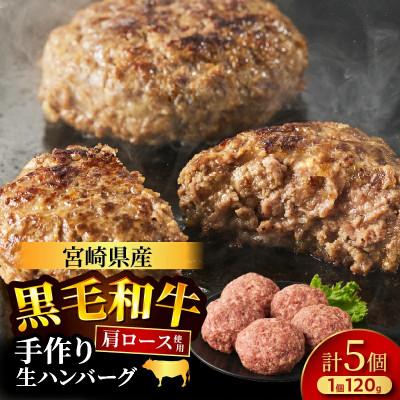 ふるさと納税 都農町 ≪手作り!!≫宮崎県産黒毛和牛肩ロース100% 『ハンバーグ』(計5個)[T025-0495](都農