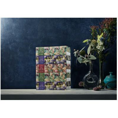 ふるさと納税 蓮田市 フルブルームコレクション FRESH PULP100% SOFT TICCUE 5箱×10パック