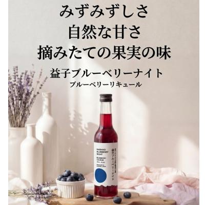 ふるさと納税 益子町 益子ブルーベリーナイト300ml 冷やしてそのまま飲む果実のお酒