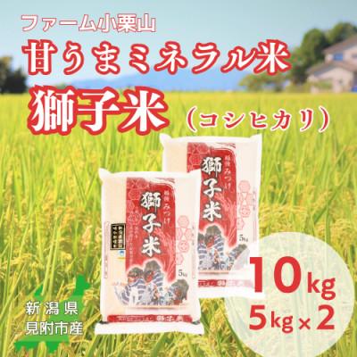 ふるさと納税 見附市 [令和7年産]甘うまミネラル米 獅子米(コシヒカリ) 精米 10kg(5kg×2袋)