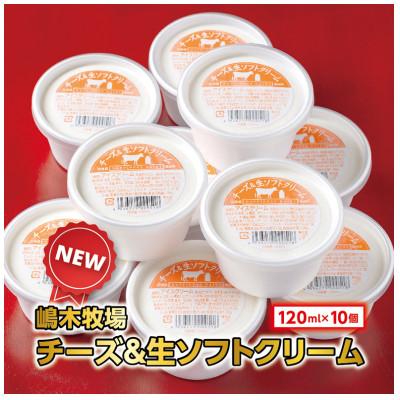 ふるさと納税 池田町 北海道 牧場のチーズ&amp;生ソフトクリーム 10個 嶋木牧場池田町
