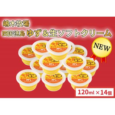 ふるさと納税 池田町 徳島ゆず&amp;生ソフトクリーム 14個×120ml スイーツ 嶋木牧場 池田町